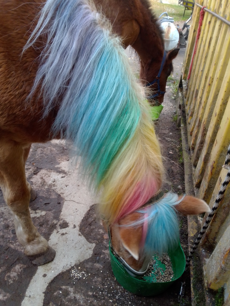 IMG_20211101_153716_HDR